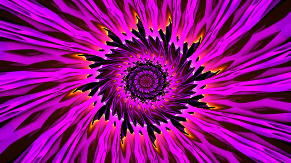 VJ Assets