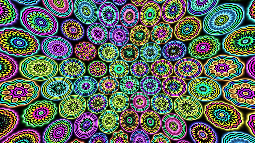Flowers Flowers template preview