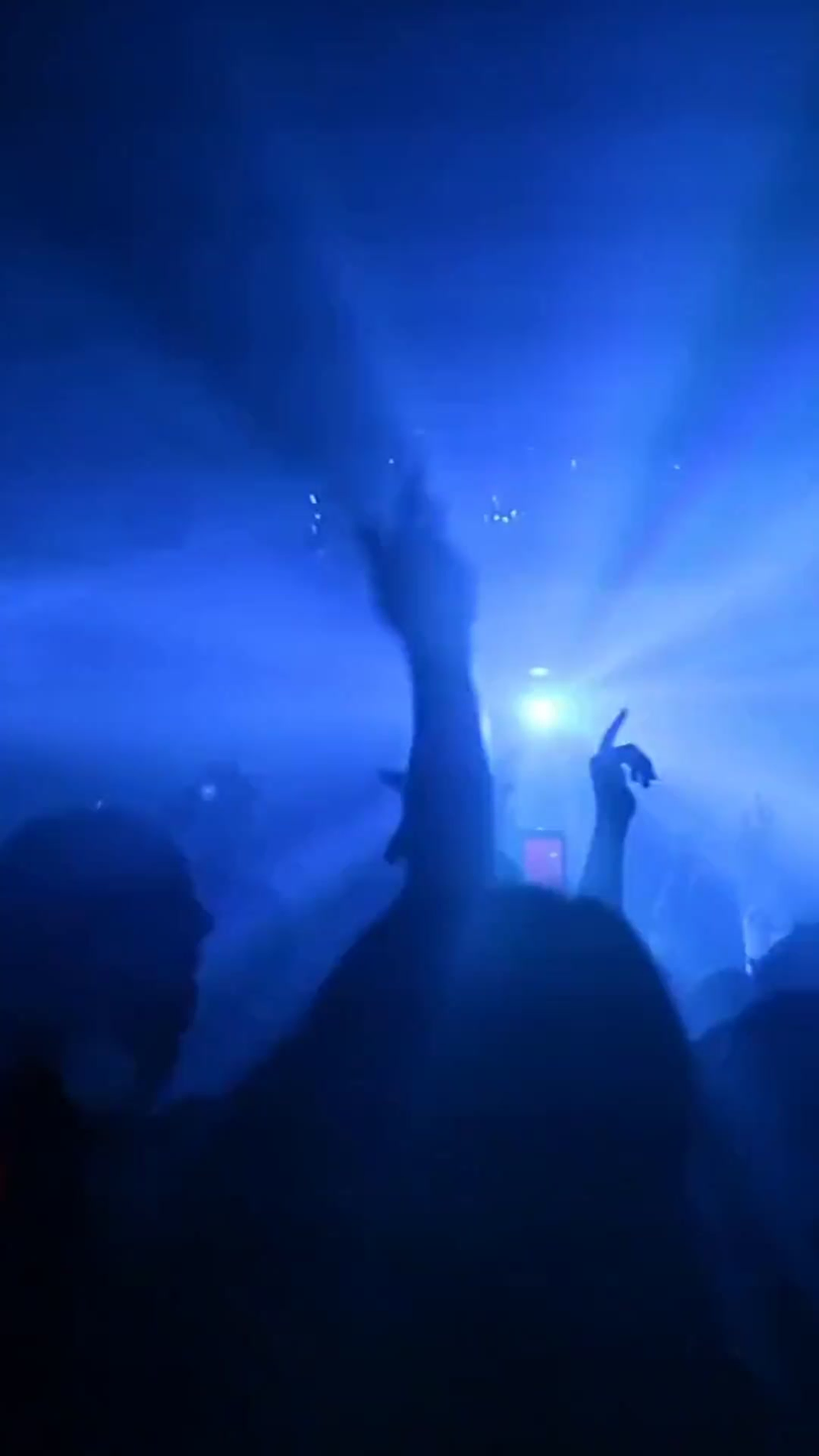 Party Party template preview