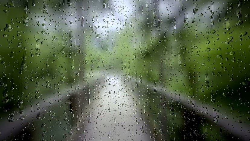 Rain Rain template preview